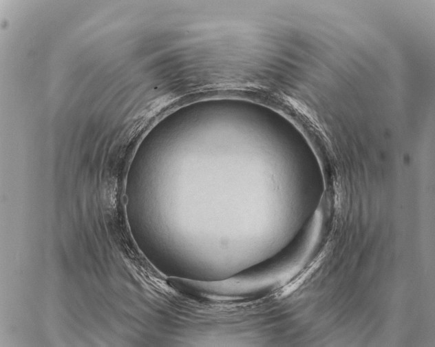 X0000086901161200704231146