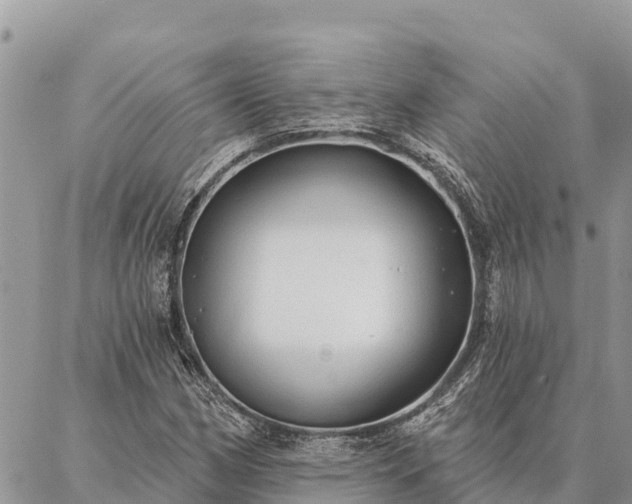 X0000086901162200704231146