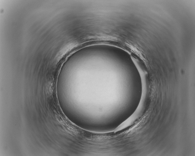 X0000086901163200704231146