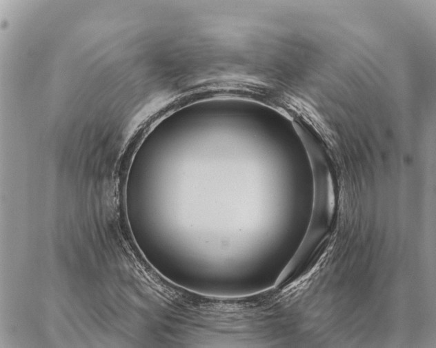 X0000086901164200704231146