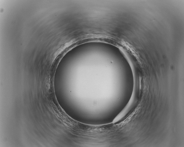 X0000086901165200704231146