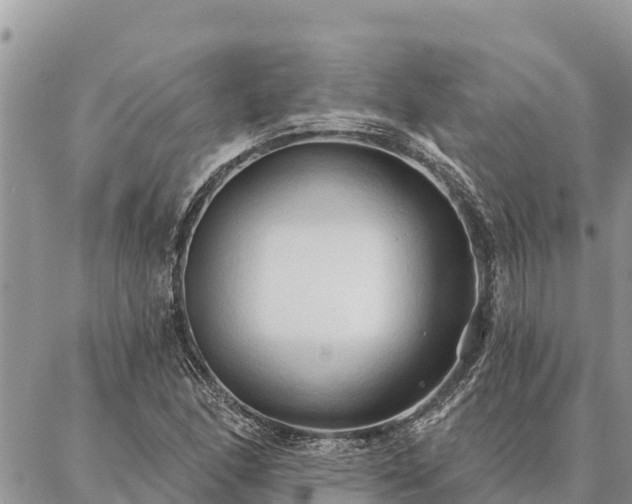 X0000086901166200704231146