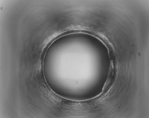 X0000086901167200704231146