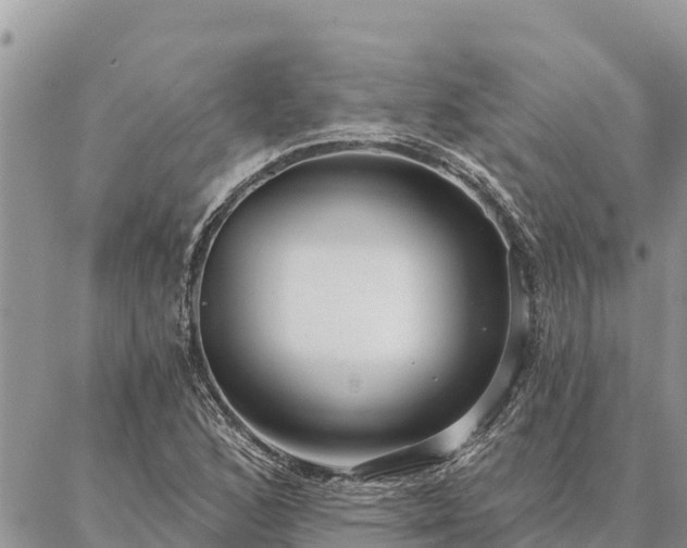 X0000086901168200704231146