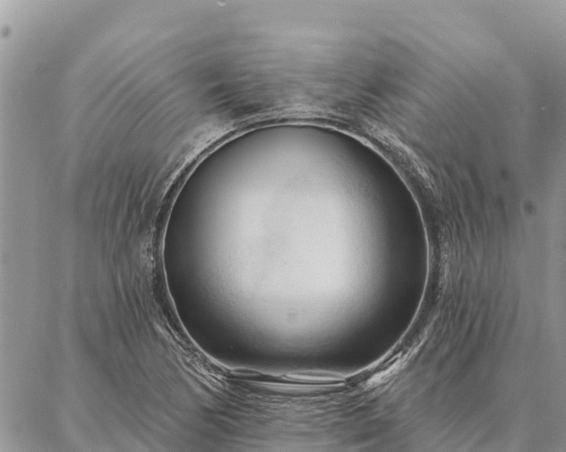 X0000086901170200704231146