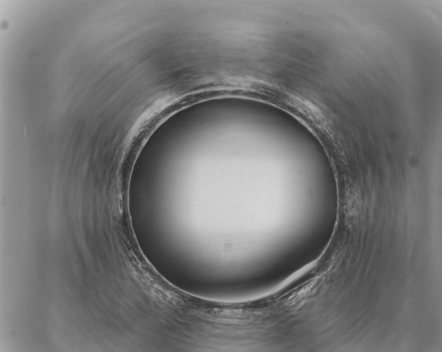 X0000086901172200704231146