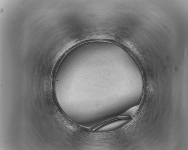 X0000086901173200704231146