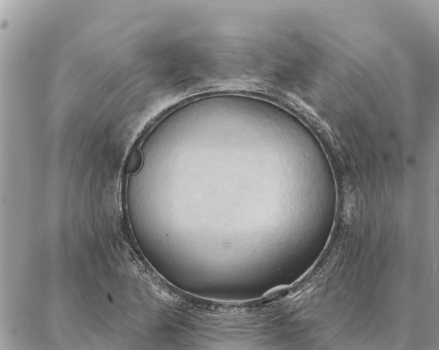 X0000086901174200704231146