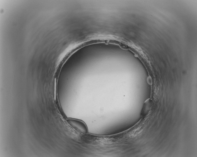 X0000086901175200704231146