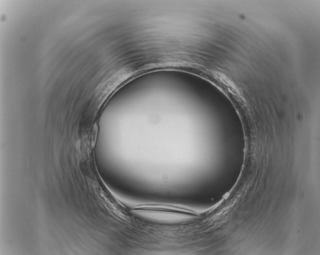 X0000086901177200704231146