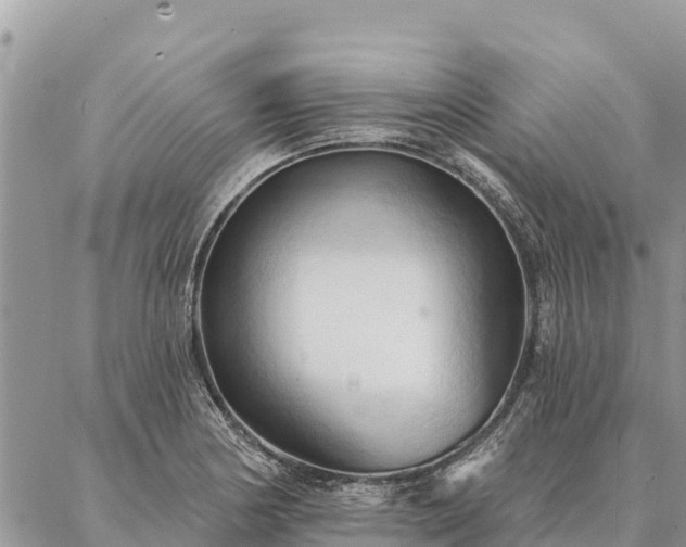 X0000086901178200704231145