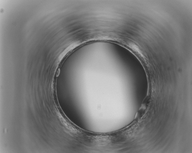 X0000086901181200704231145