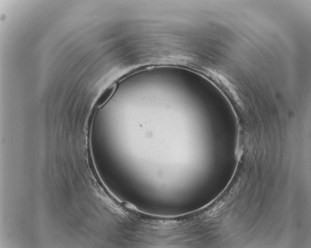 X0000086901184200704231145