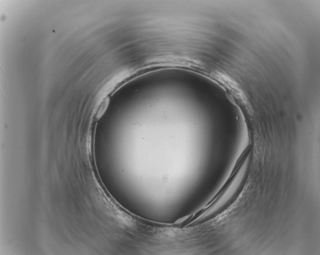 X0000086901188200704231145