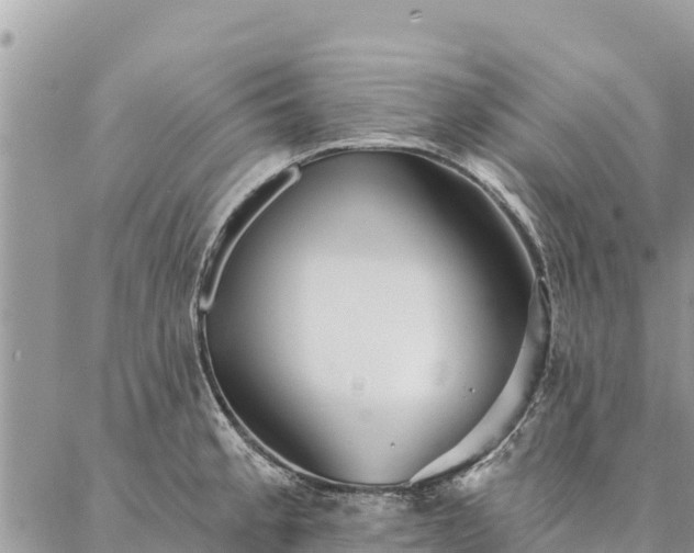 X0000086901189200704231145