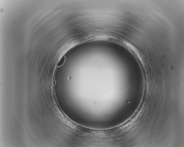 X0000086901194200704231145