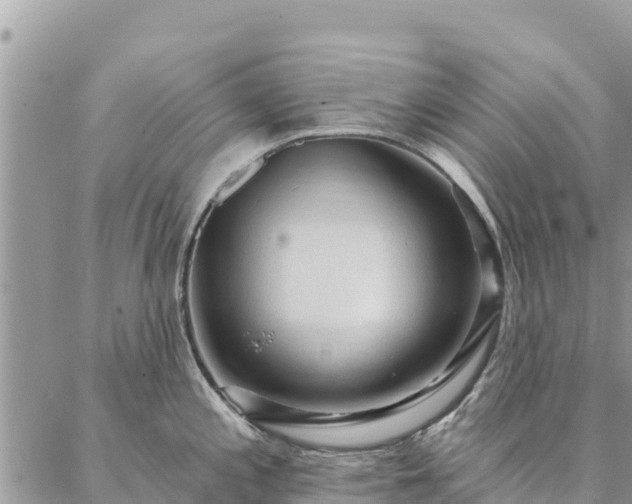 X0000086901197200704231145