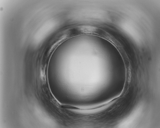 X0000086901198200704231145