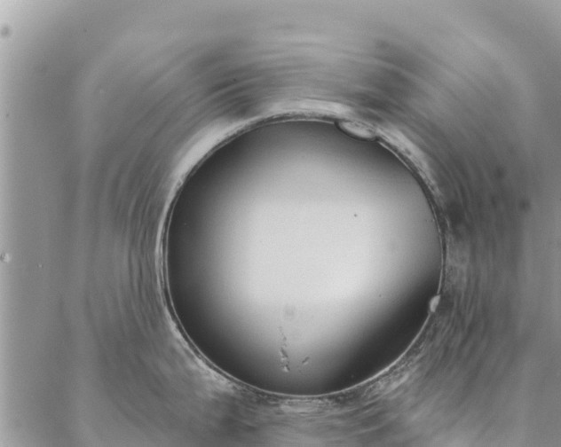 X0000086901199200704231145