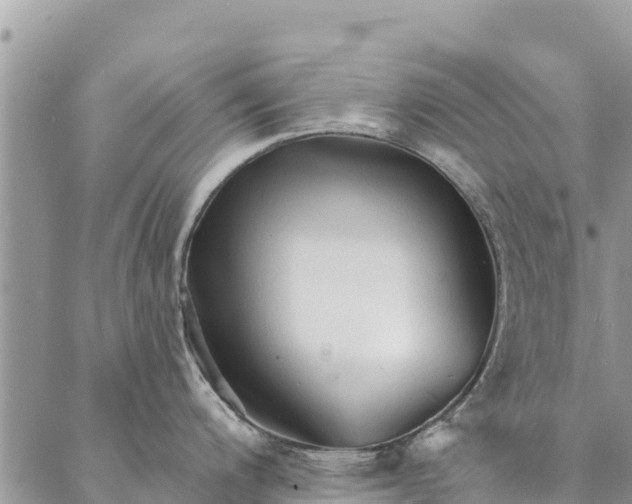 X0000086901200200704231145