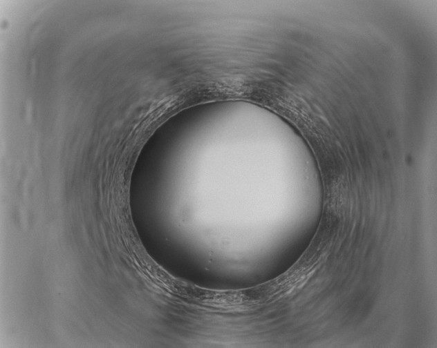 X0000086901201200704231144