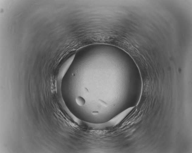 X0000086901202200704231144