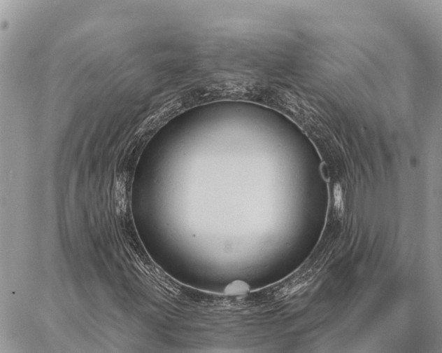 X0000086901203200704231144