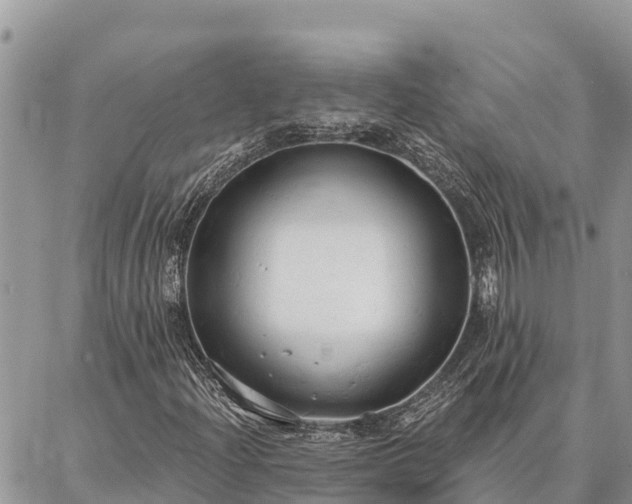 X0000086901204200704231144