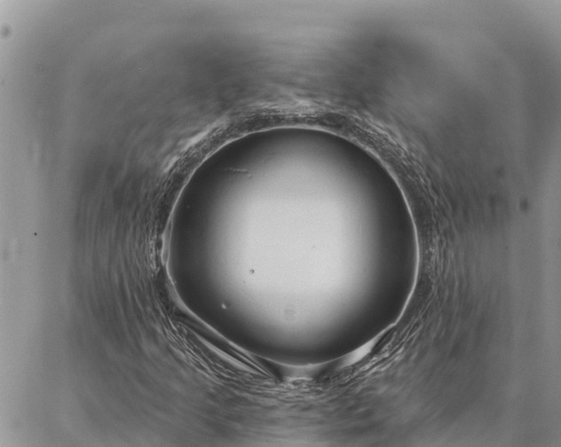 X0000086901205200704231144