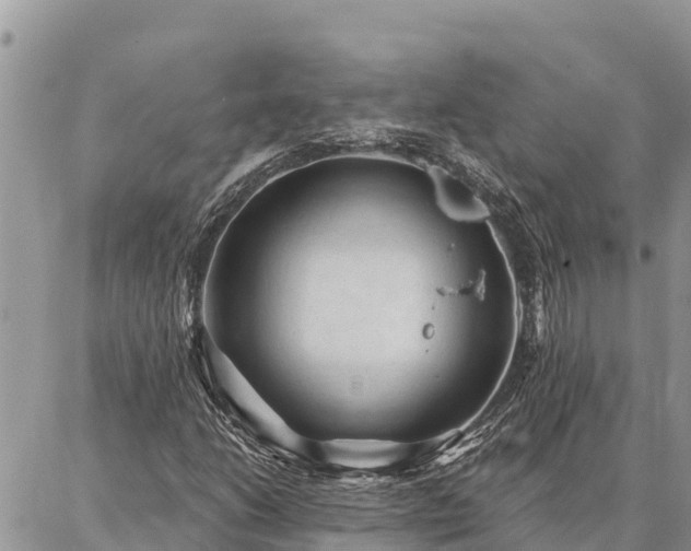 X0000086901206200704231144