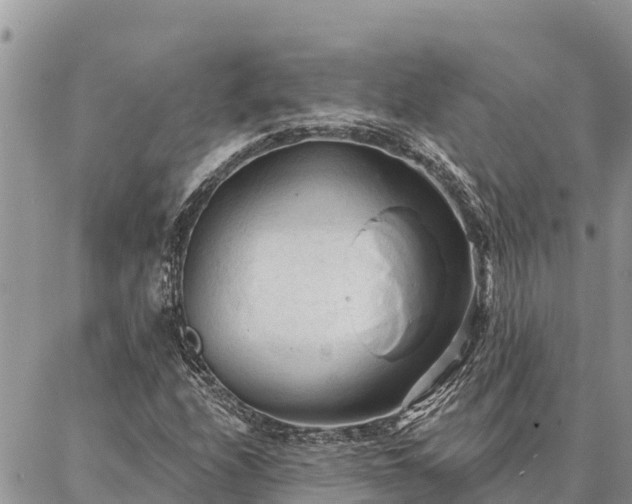 X0000086901208200704231144