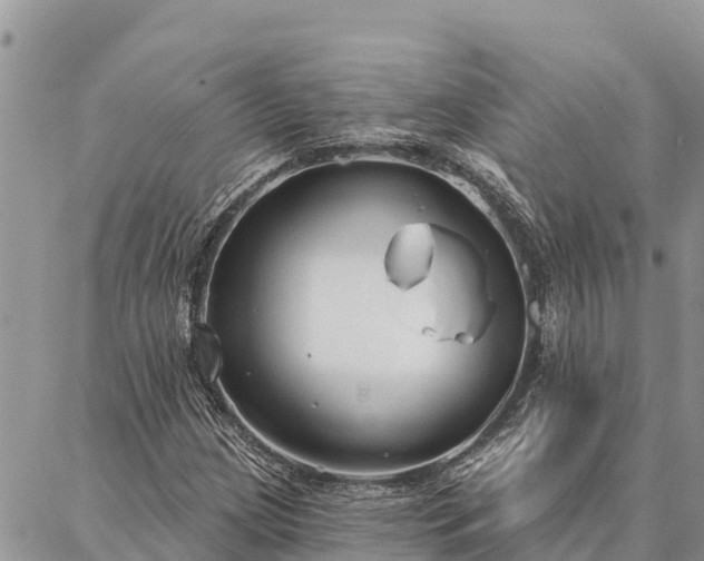 X0000086901209200704231144