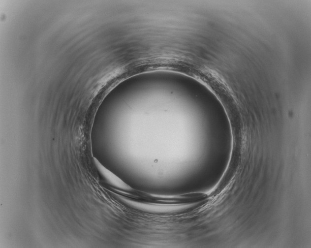 X0000086901210200704231144