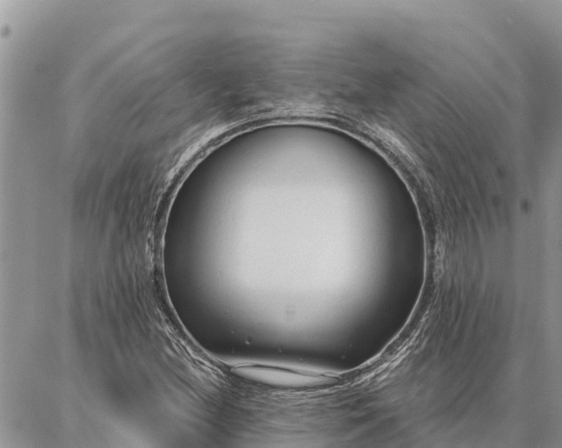 X0000086901212200704231145