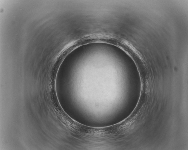 X0000086901213200704231145