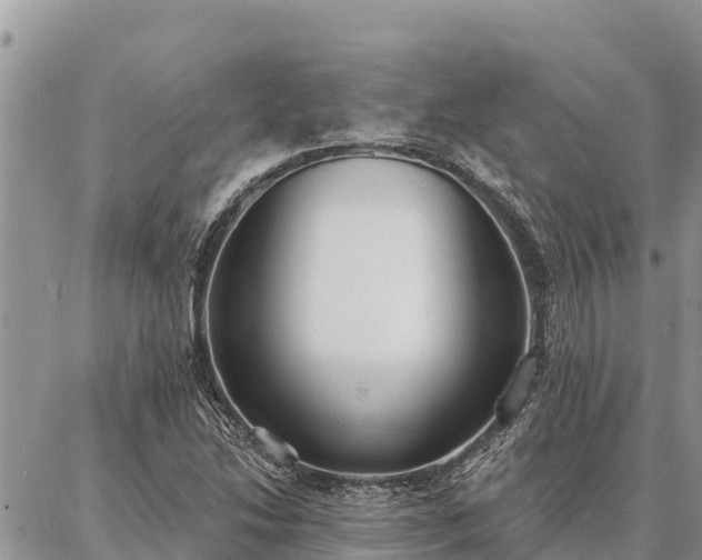 X0000086901214200704231145