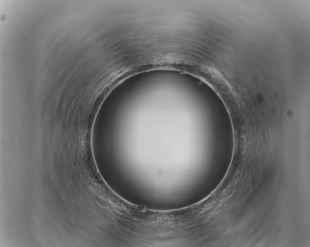 X0000086901217200704231145