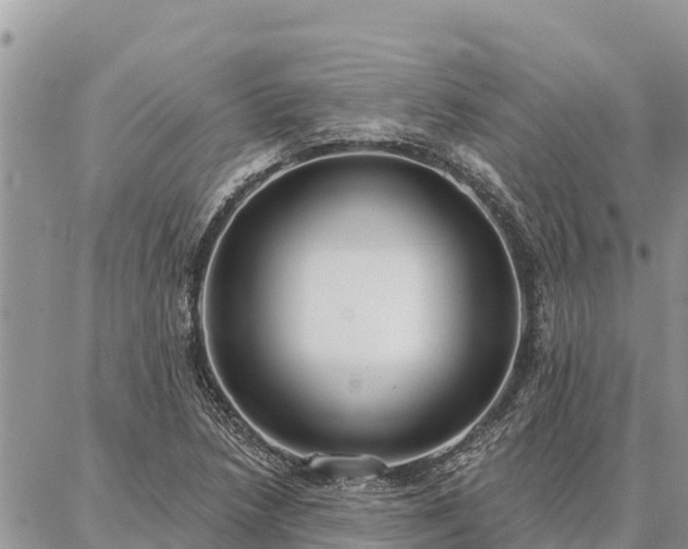 X0000086901218200704231145