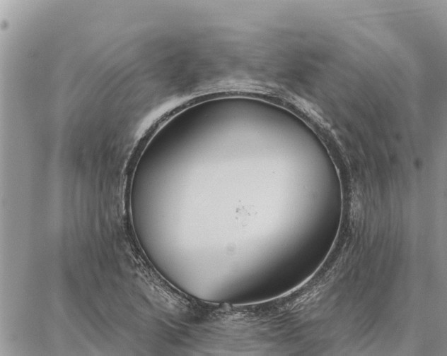 X0000086901222200704231145