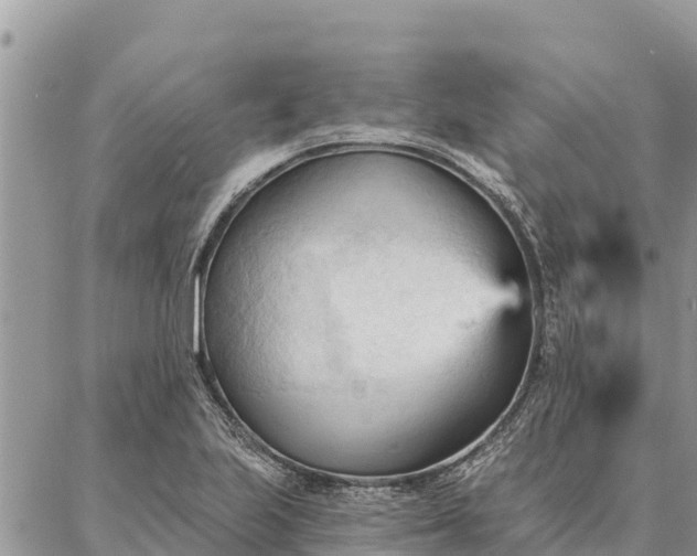 X0000086901223200704231145