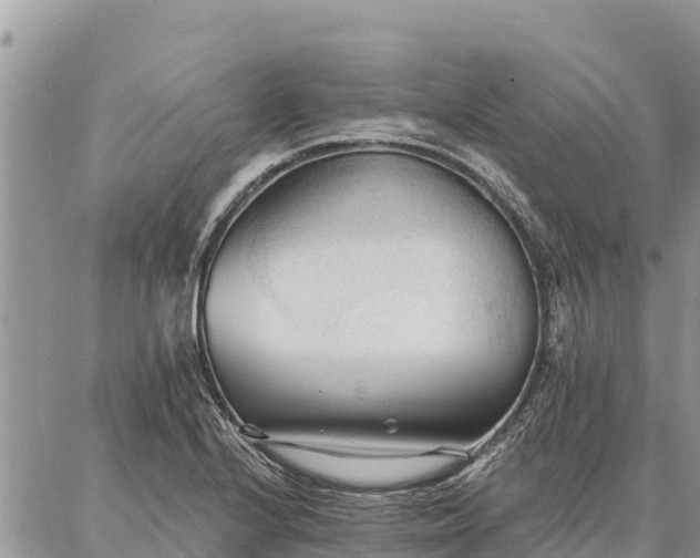 X0000086901224200704231145