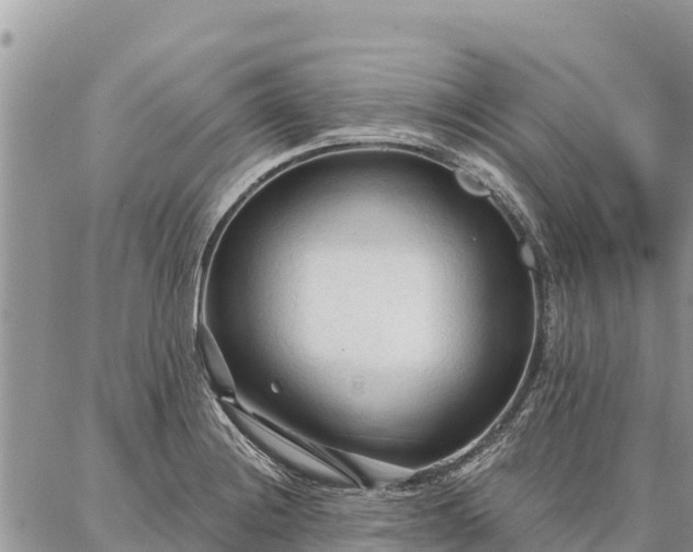 X0000086901228200704231145