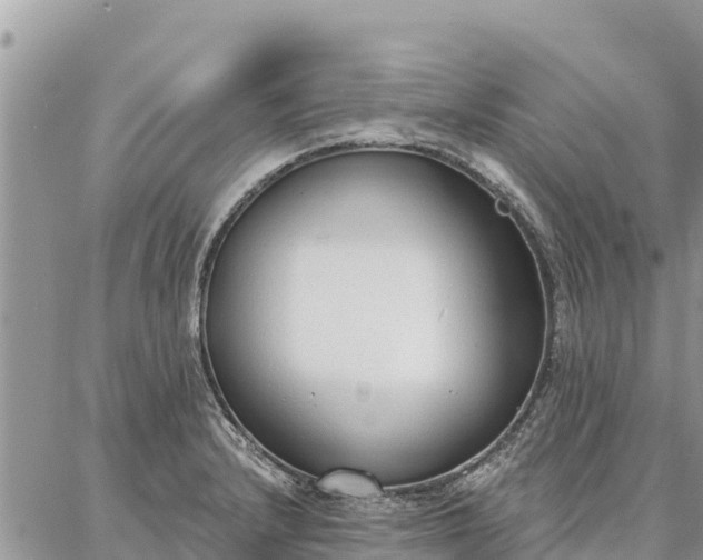 X0000086901232200704231145