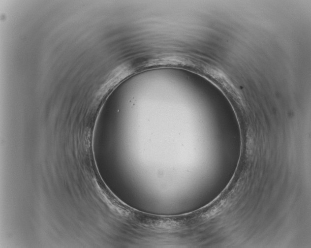 X0000086901233200704231145