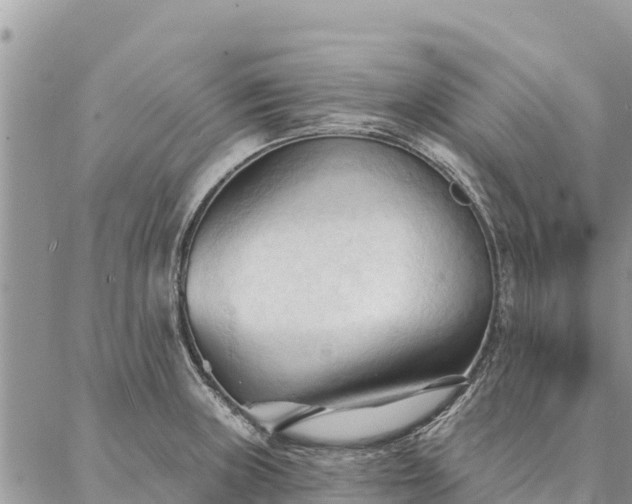 X0000086901235200704231145