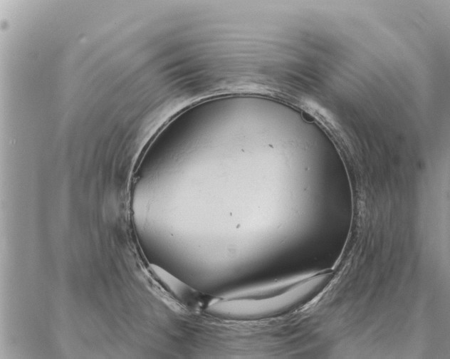 X0000086901236200704231145