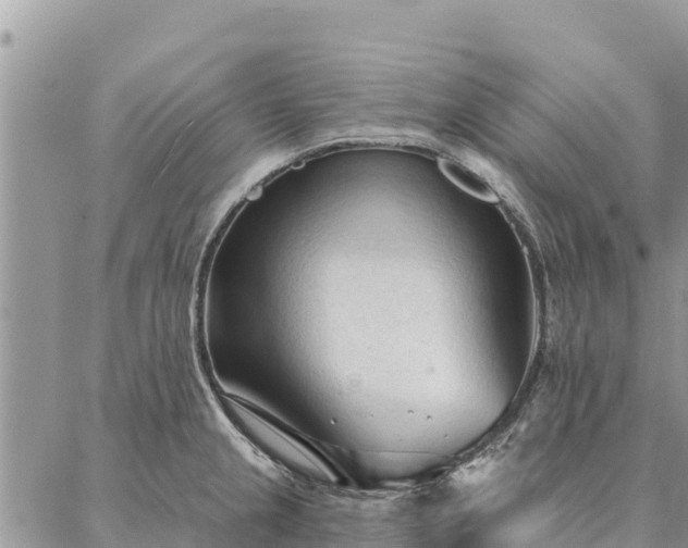 X0000086901237200704231145