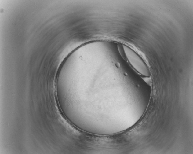 X0000086901239200704231145