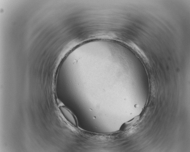 X0000086901240200704231145