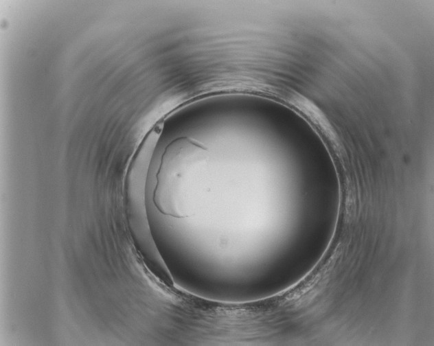 X0000086901242200704231145